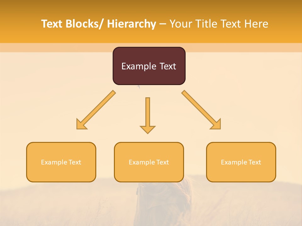 Retirement Sunset Mother PowerPoint Template