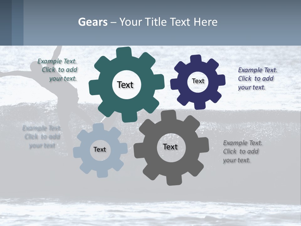 Old White Beach PowerPoint Template