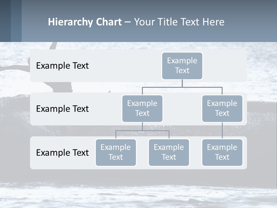 Old White Beach PowerPoint Template