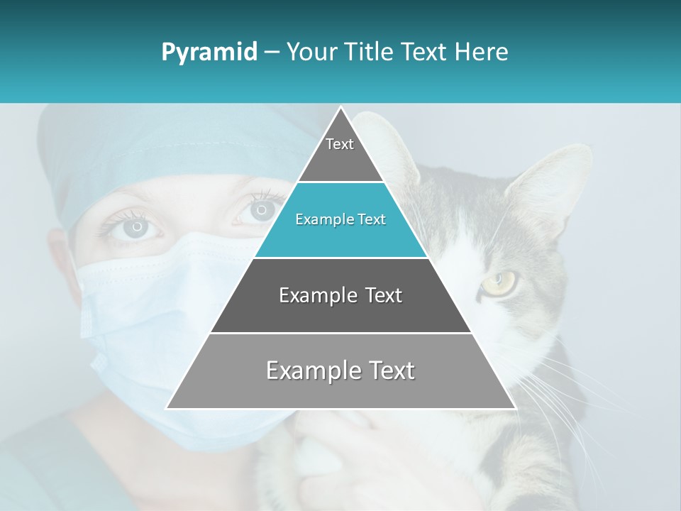 Ocean Family Coast PowerPoint Template