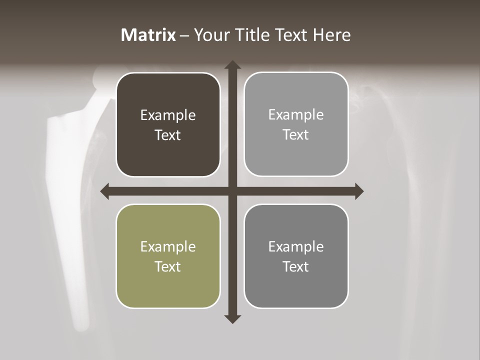 Coastal Wellness Life PowerPoint Template