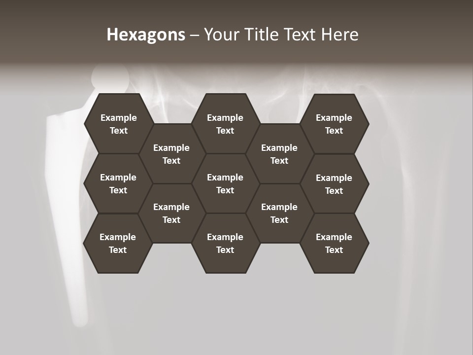 Coastal Wellness Life PowerPoint Template