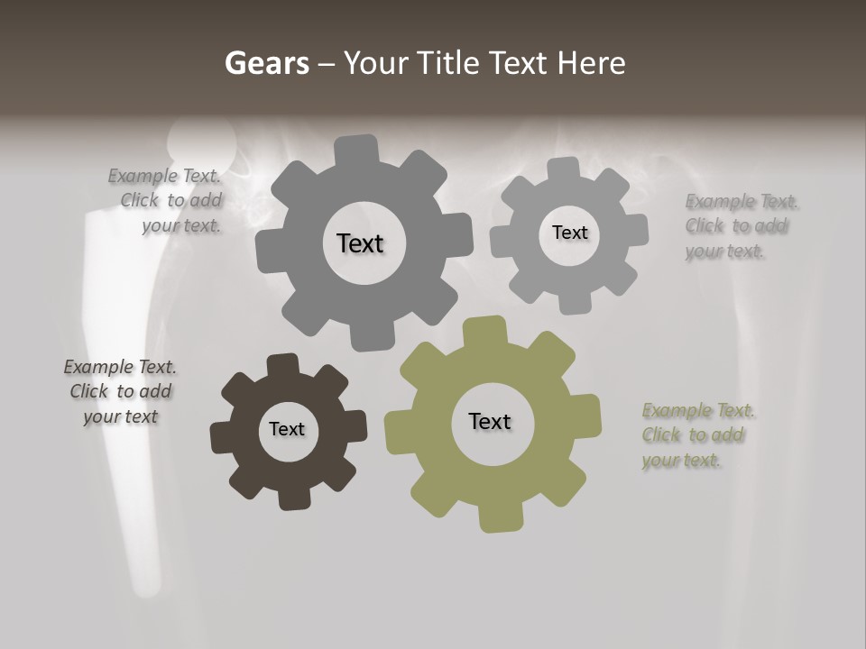 Coastal Wellness Life PowerPoint Template