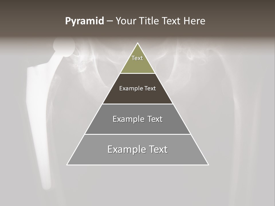 Coastal Wellness Life PowerPoint Template