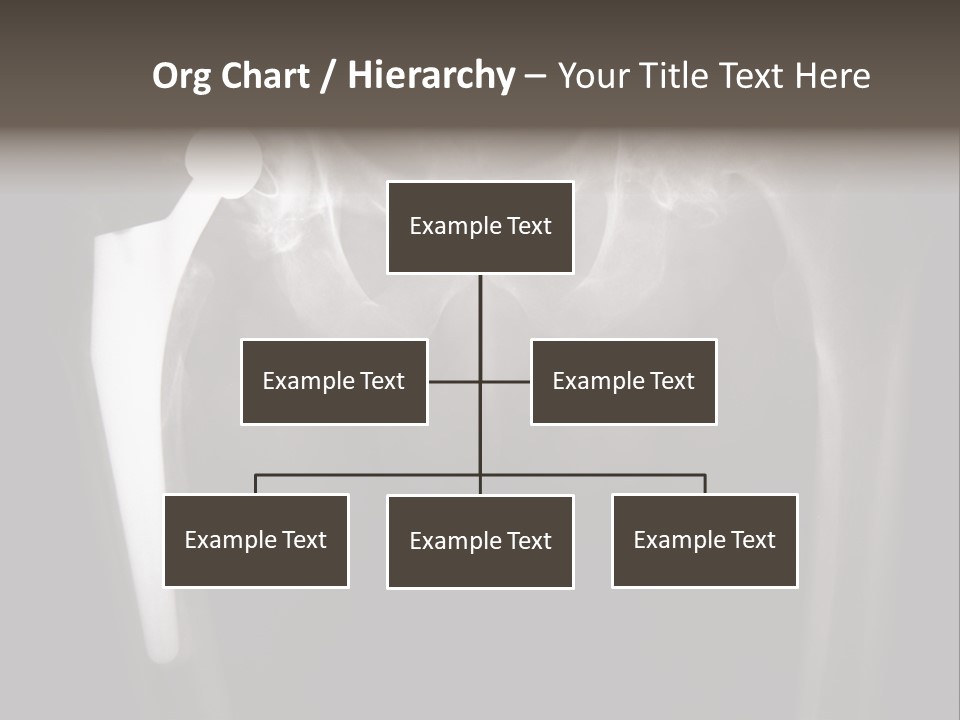 Coastal Wellness Life PowerPoint Template