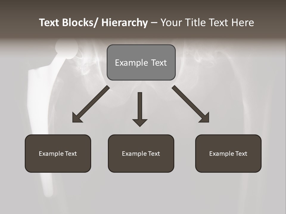 Coastal Wellness Life PowerPoint Template