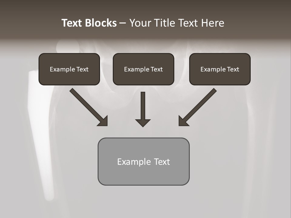 Coastal Wellness Life PowerPoint Template