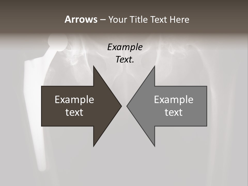 Coastal Wellness Life PowerPoint Template