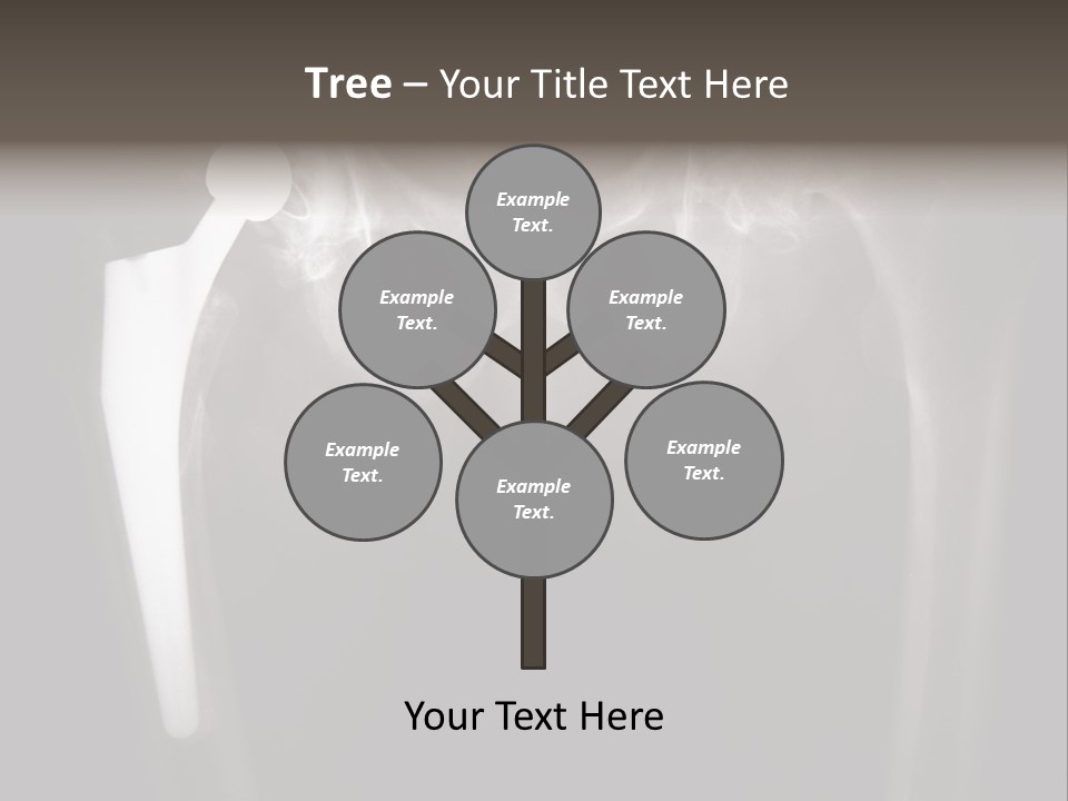Coastal Wellness Life PowerPoint Template