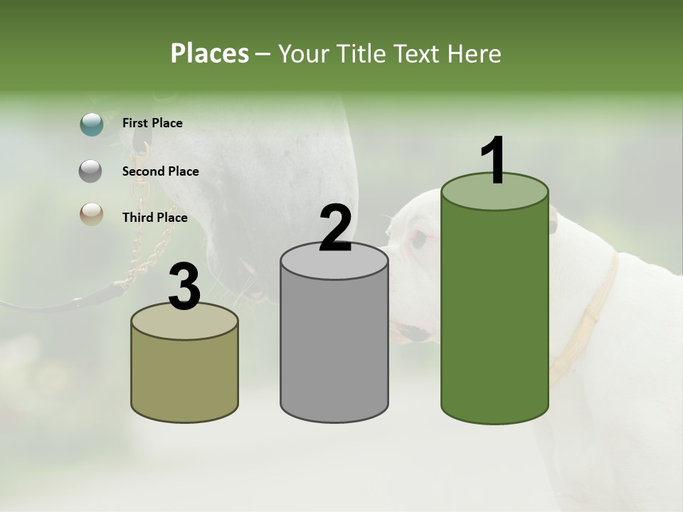 Ocean Single Sunset PowerPoint Template