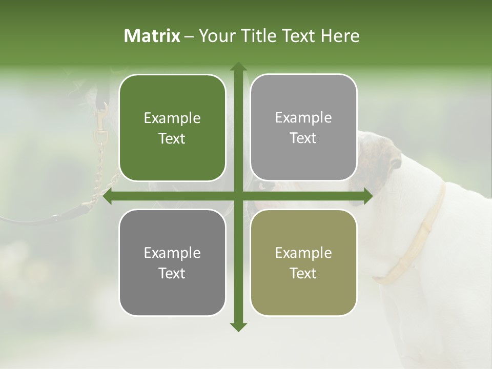 Ocean Single Sunset PowerPoint Template