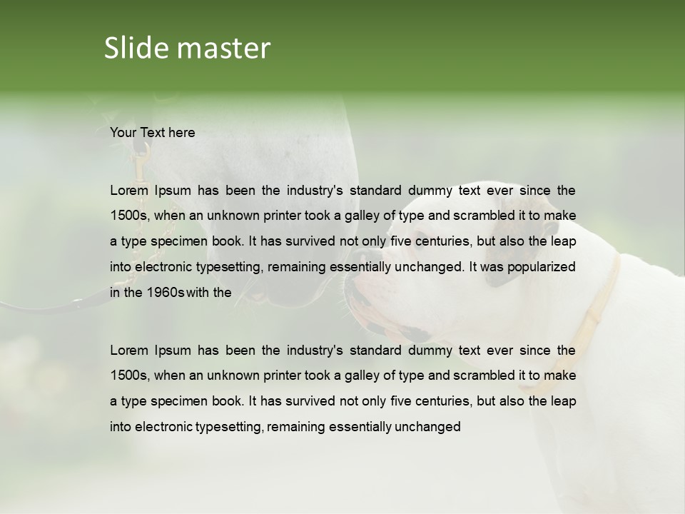 Ocean Single Sunset PowerPoint Template