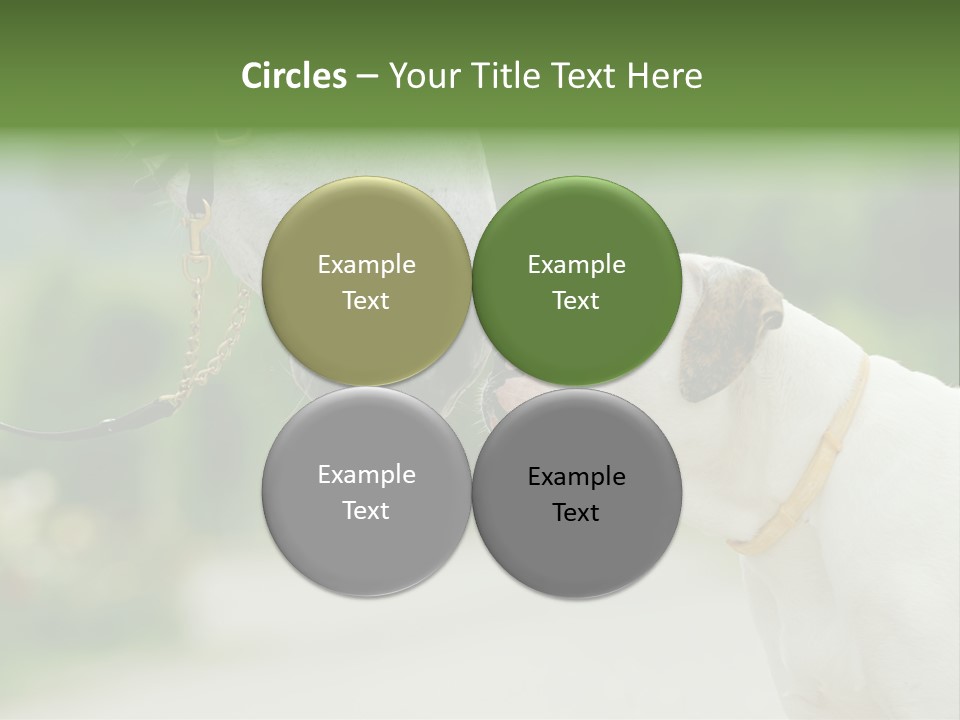 Ocean Single Sunset PowerPoint Template