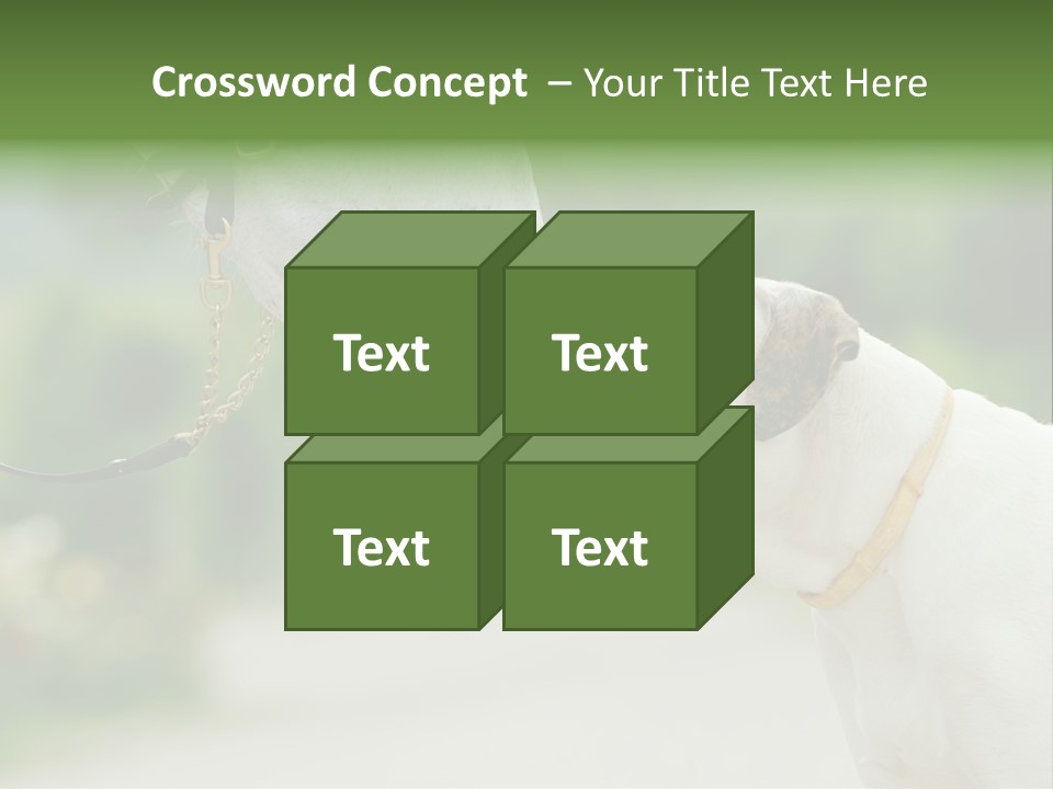 Ocean Single Sunset PowerPoint Template
