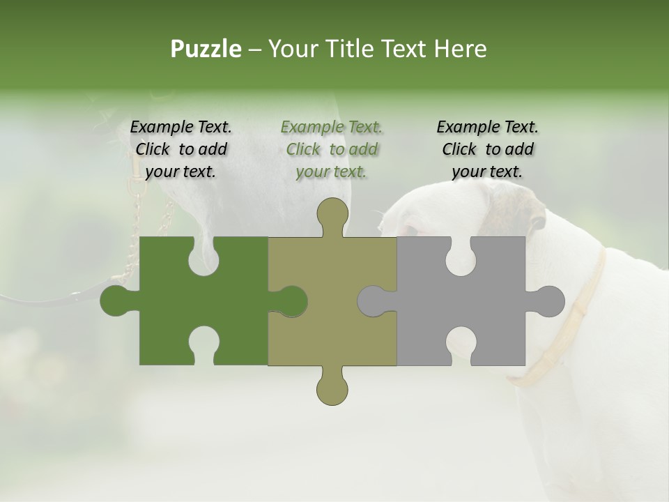 Ocean Single Sunset PowerPoint Template