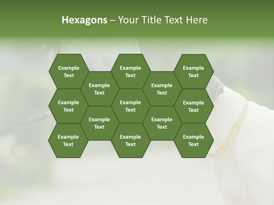 Ocean Single Sunset PowerPoint Template