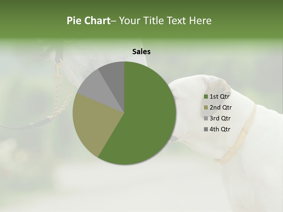 Ocean Single Sunset PowerPoint Template