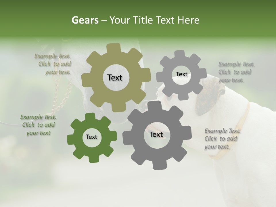 Ocean Single Sunset PowerPoint Template