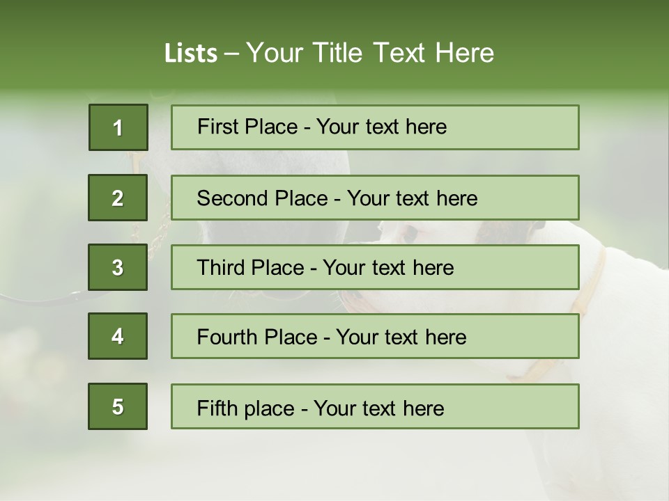 Ocean Single Sunset PowerPoint Template