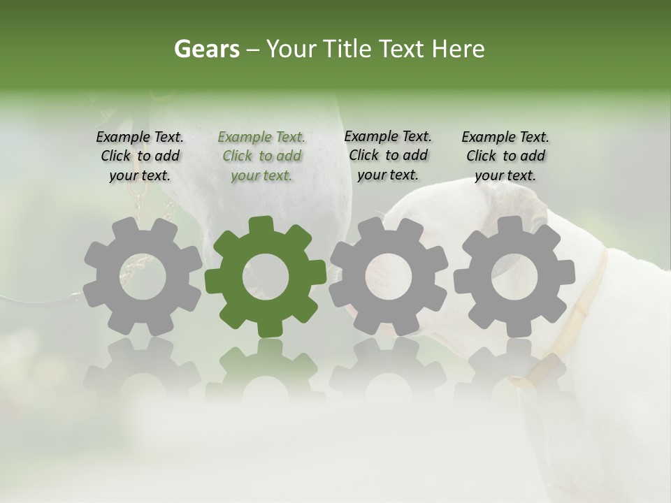 Ocean Single Sunset PowerPoint Template