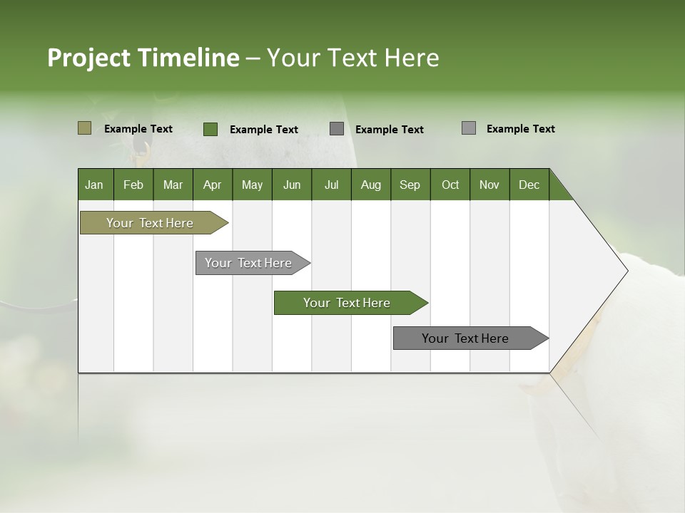 Ocean Single Sunset PowerPoint Template