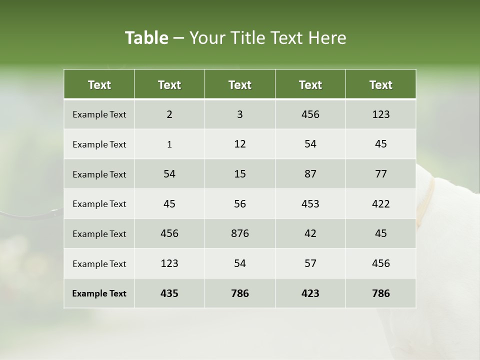 Ocean Single Sunset PowerPoint Template