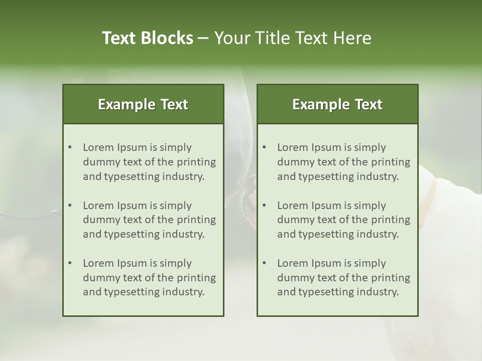 Ocean Single Sunset PowerPoint Template