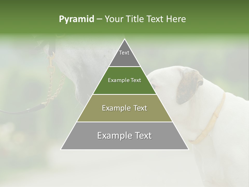 Ocean Single Sunset PowerPoint Template