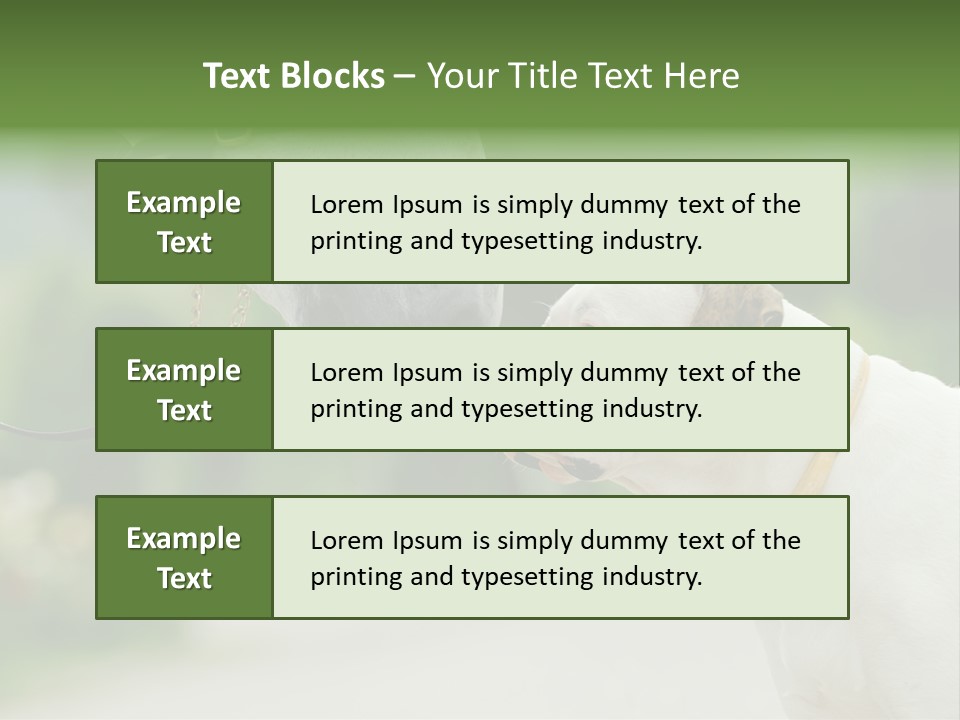 Ocean Single Sunset PowerPoint Template