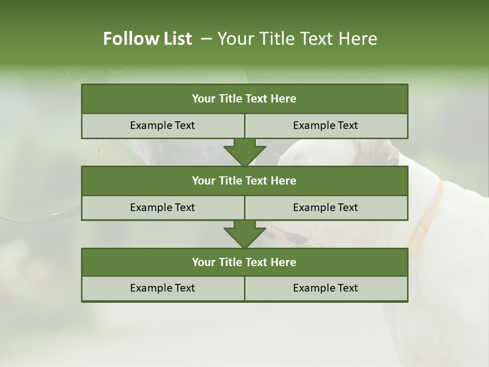 Ocean Single Sunset PowerPoint Template
