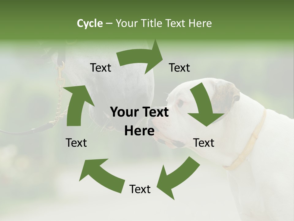 Ocean Single Sunset PowerPoint Template