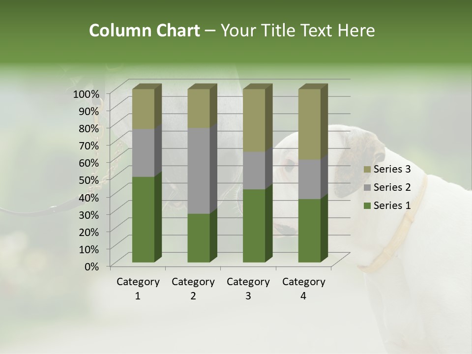 Ocean Single Sunset PowerPoint Template