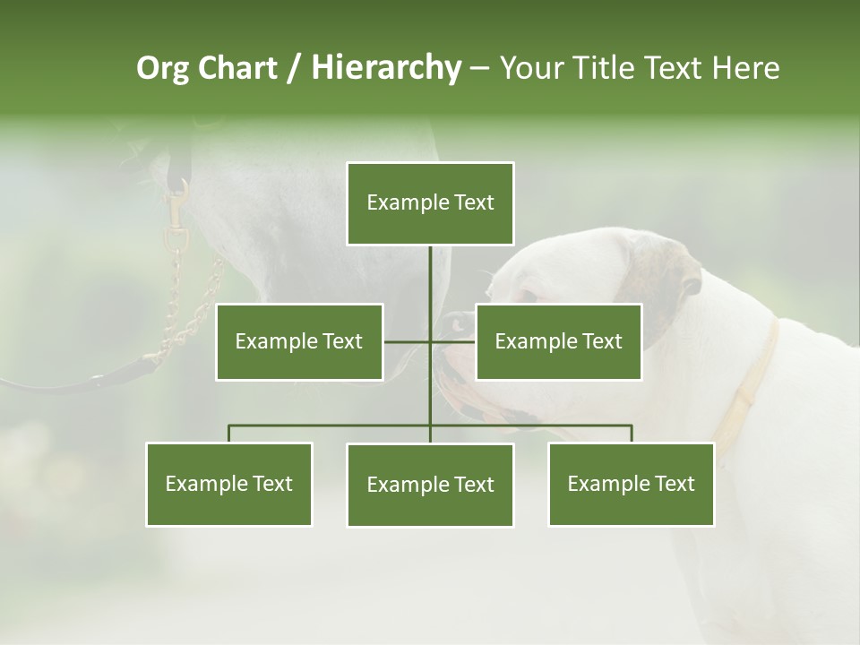 Ocean Single Sunset PowerPoint Template
