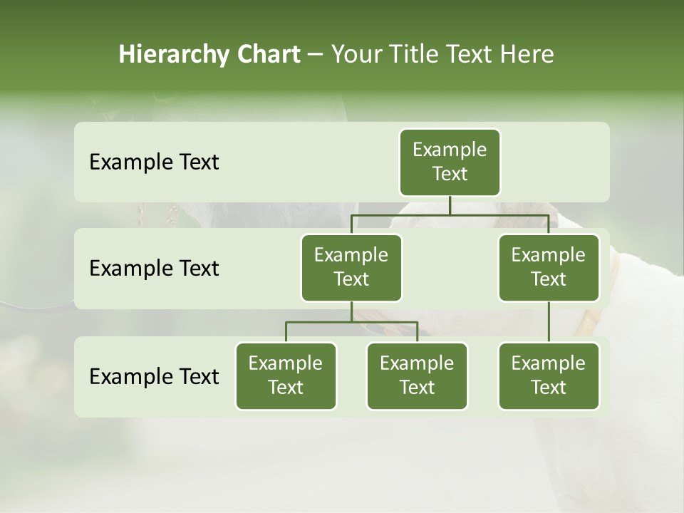 Ocean Single Sunset PowerPoint Template