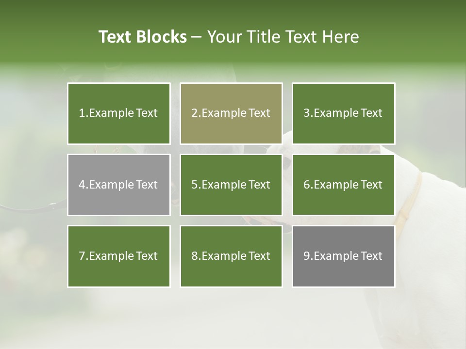Ocean Single Sunset PowerPoint Template