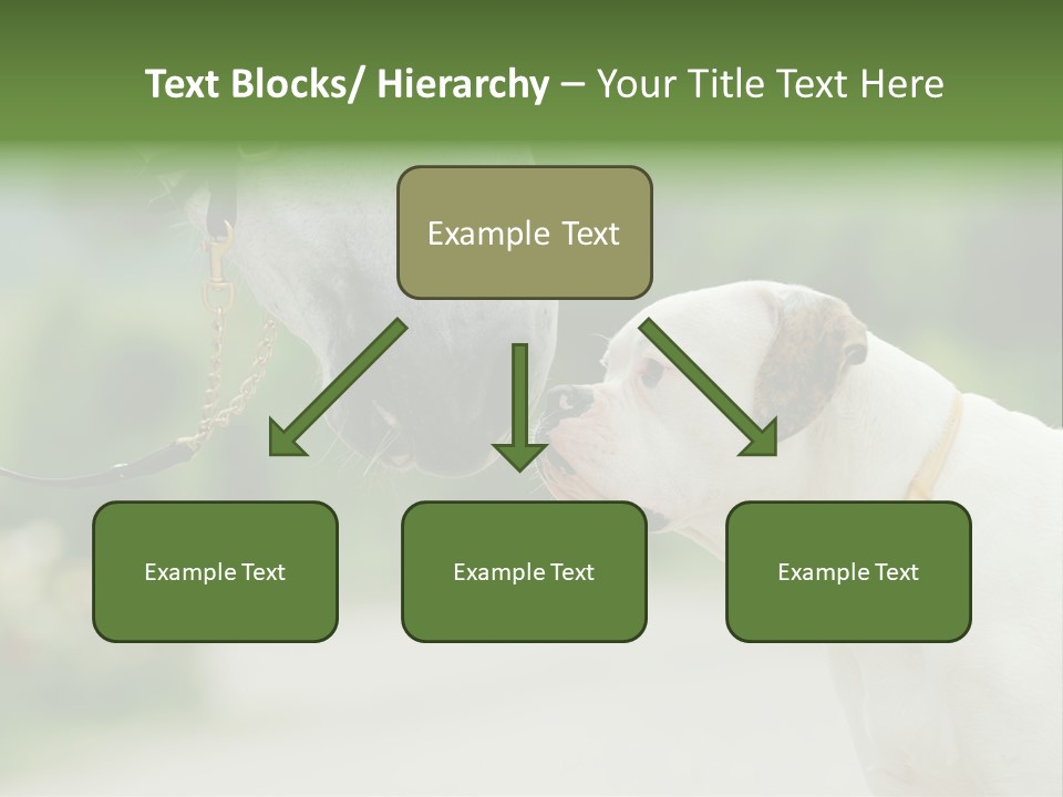 Ocean Single Sunset PowerPoint Template
