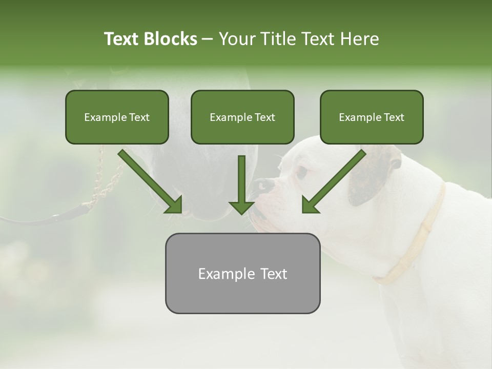 Ocean Single Sunset PowerPoint Template