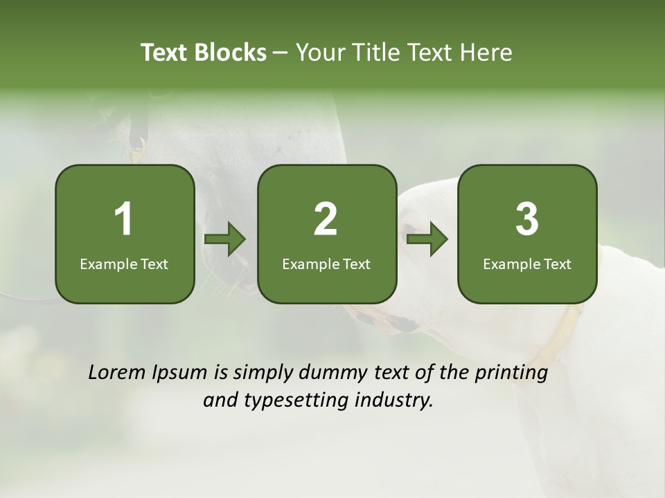 Ocean Single Sunset PowerPoint Template
