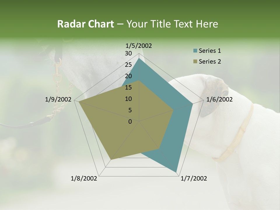 Ocean Single Sunset PowerPoint Template