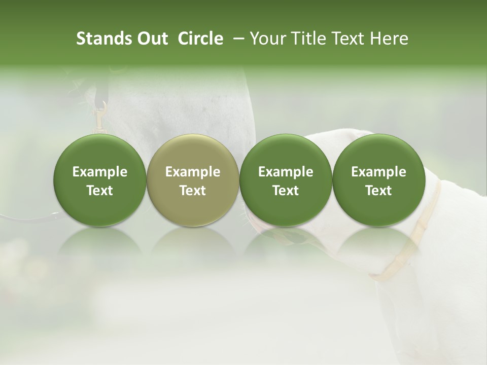 Ocean Single Sunset PowerPoint Template