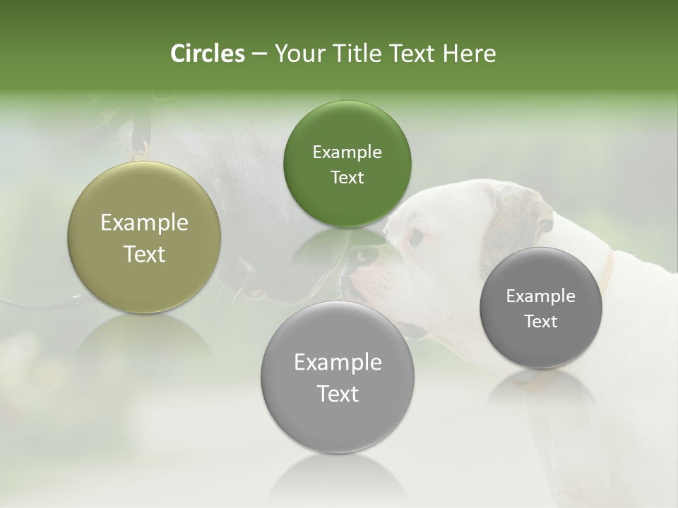 Ocean Single Sunset PowerPoint Template