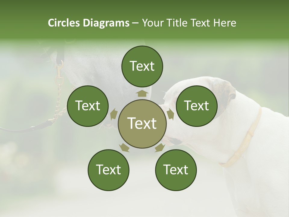 Ocean Single Sunset PowerPoint Template