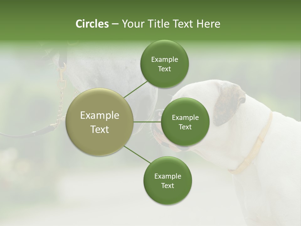 Ocean Single Sunset PowerPoint Template