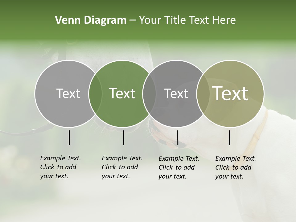 Ocean Single Sunset PowerPoint Template