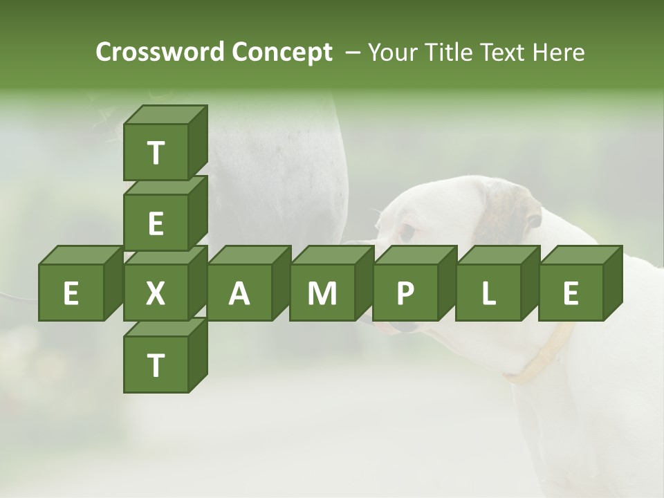 Ocean Single Sunset PowerPoint Template