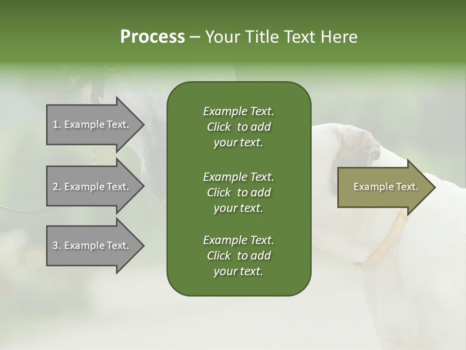 Ocean Single Sunset PowerPoint Template