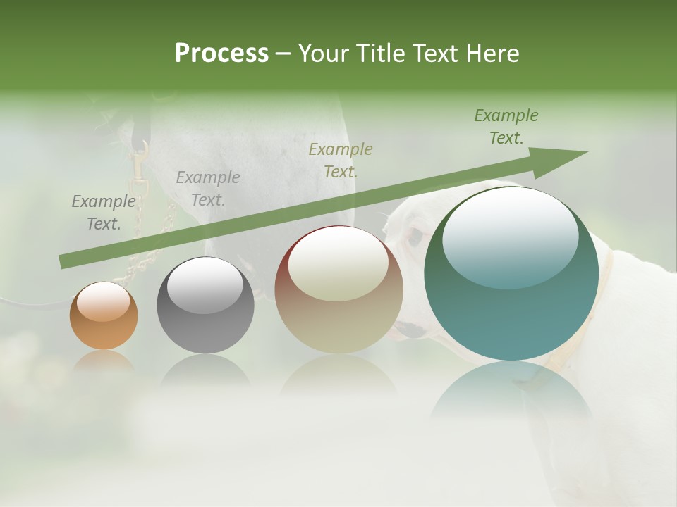 Ocean Single Sunset PowerPoint Template