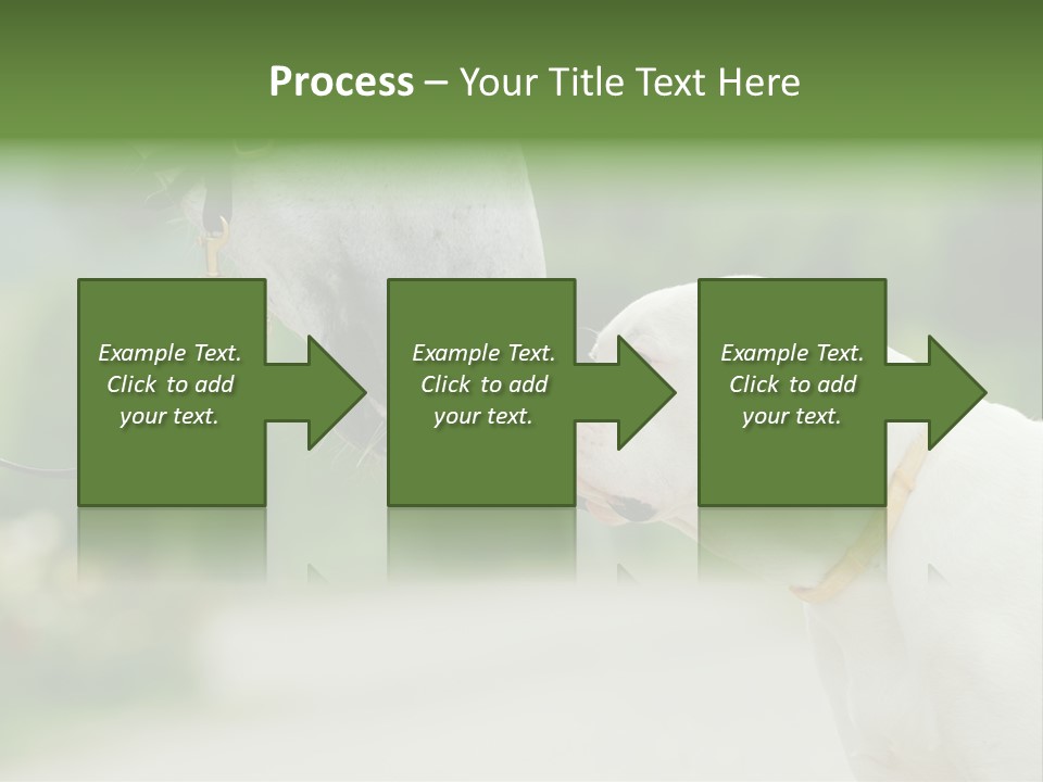 Ocean Single Sunset PowerPoint Template