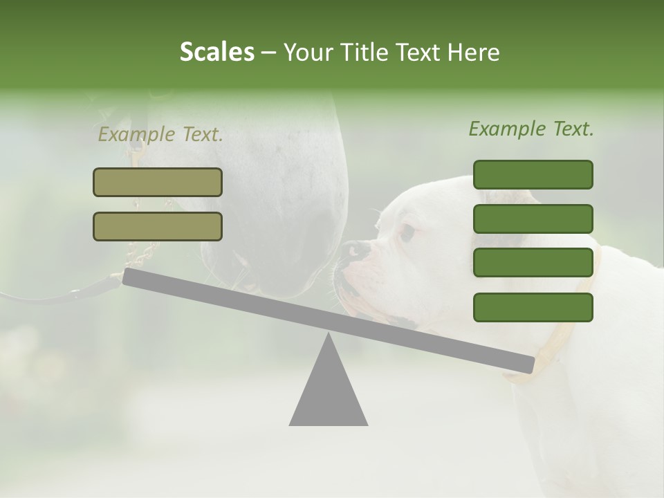 Ocean Single Sunset PowerPoint Template