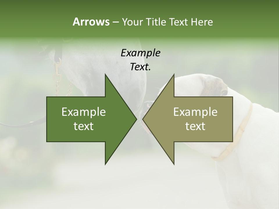 Ocean Single Sunset PowerPoint Template